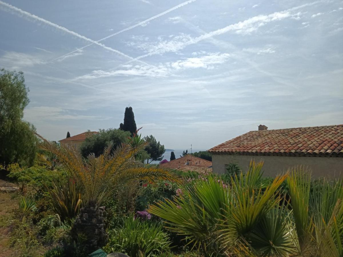 L'albizia * Nice